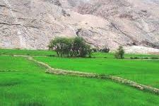 د بامیان په کوهمرد ولسوالۍ کې د اوبو رسونې اووه شبکې جوړېږي