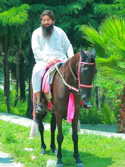 په باجوړ کې د لشکر طیبه ډلې د ښاروالۍ ټاکنو یو نوماند وژل شوی