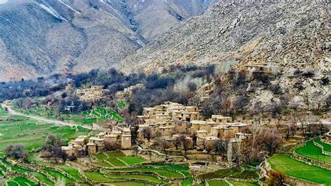 ازادۍ جبهه په کاپیسا کې د دوو طالبانو د وژلو ادعا کوي