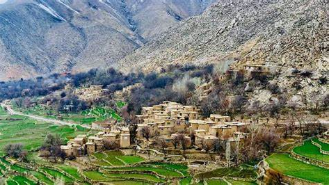 ازادۍ جبهه په کاپیسا کې د دوو طالبانو د وژلو ادعا کوي