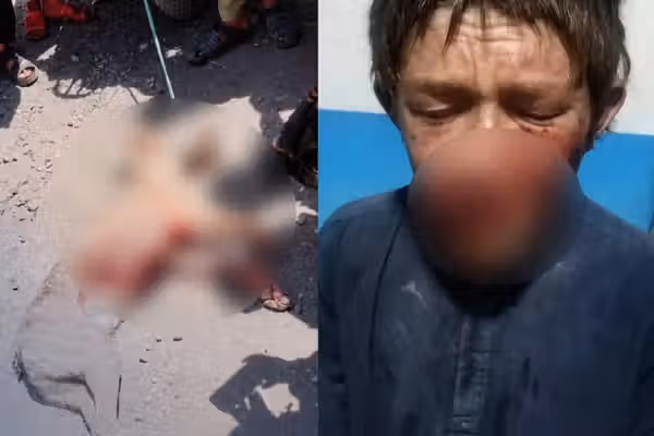 نگرانی باشندگان ولسوالی درهصوف سمنگان از ادامه حملات جانور درنده