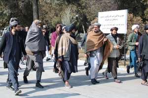 استادان دانشگاه که ریش و پوشش طالبانی ندارند از ترفیع علمی محروم میشوند