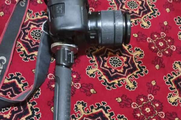 سرچینې: د ساکښو د انځور اخېستلو مخنیوی د طالبانو د امر بالمعروف وزیر په مستقیم امر کیږي