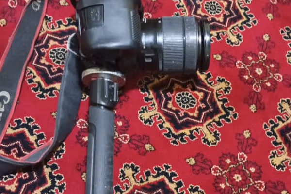 سرچینې: د ساکښو د انځور اخېستلو مخنیوی د طالبانو د امر بالمعروف وزیر په مستقیم امر کیږي