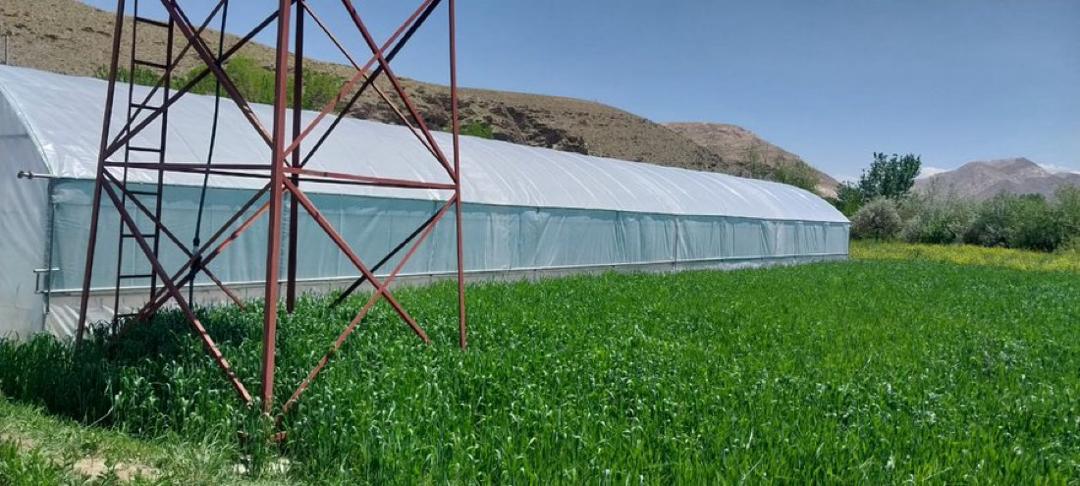 طالبان وایي میدان وردګ کې یې مستحقو بزګرانو ته ۱۳شنې خونې جوړې کړې دي