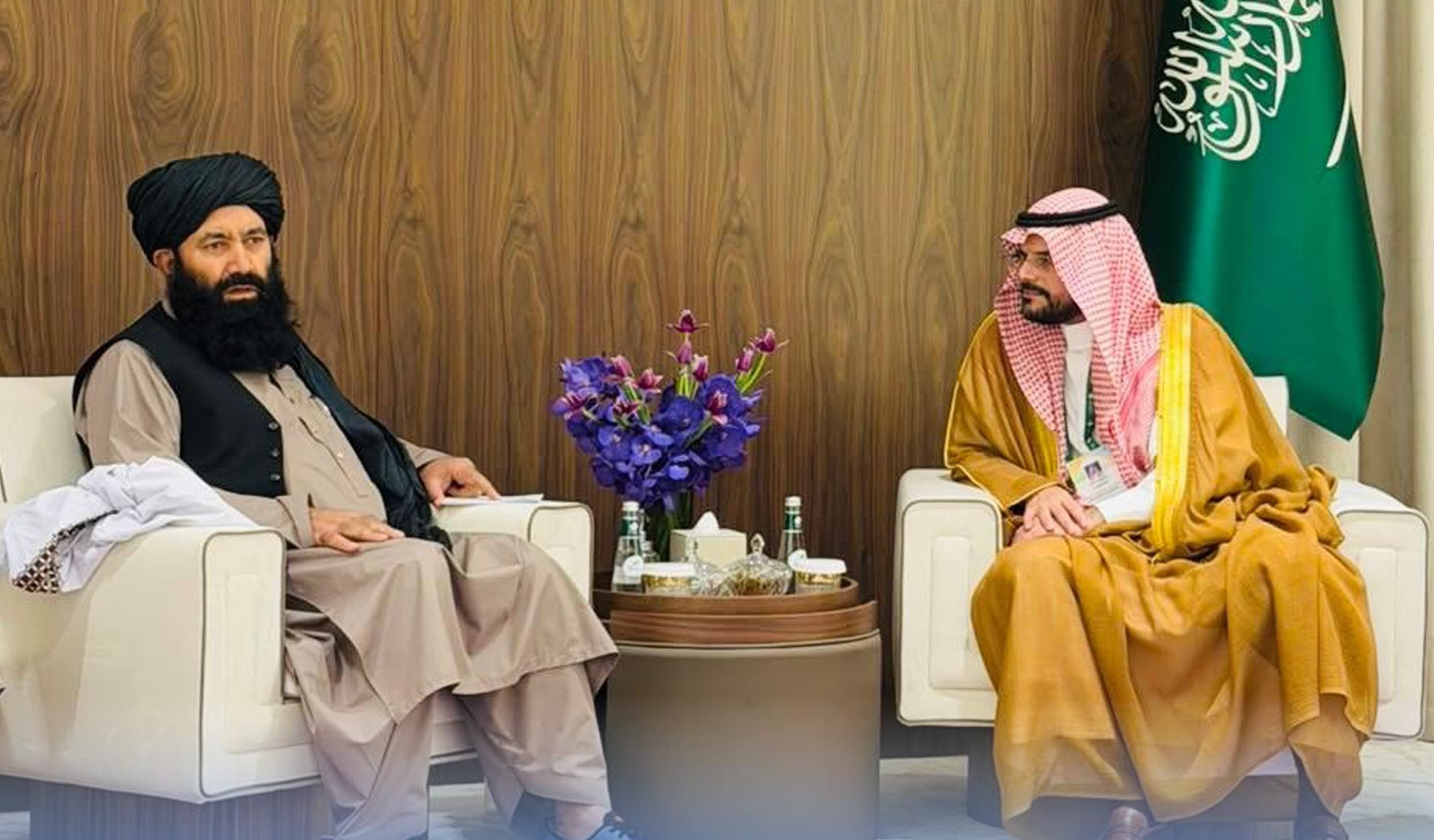 طالبانو د سعودي عربستان د انرژۍ وزارت مرستیال ته افغانستان ته د سفر بلنه ورکړې