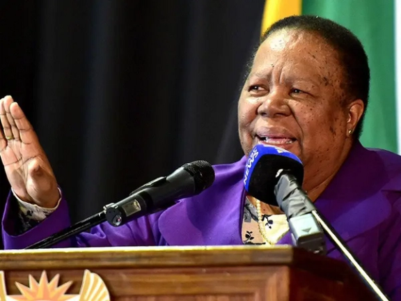 سویلي افریقا: له برېکس ډلې سره د نویو هېوادونو په یو ځای کېدو د برېکس نوم نه بدلیږي