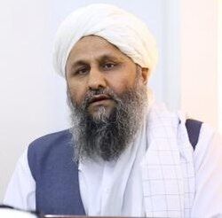 د طالبانو ادعا: نږدې ۹۰ زره راستانه‌شویو کورنیو ته د ځمکو وېش پیل شوی