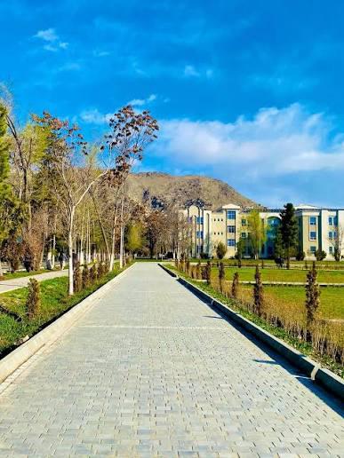 سرچینې: د کابل پوهنتون په چاودنه کې شاوخوا ۲۰ زده کړیالان ټپیان شوي 