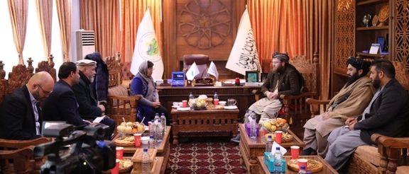 طالبان: م.م ډاډ راکړی، چې د افغان بزګرانو سره د نشهیي توکو د نه کرلو په بدل کې مرسته کوي