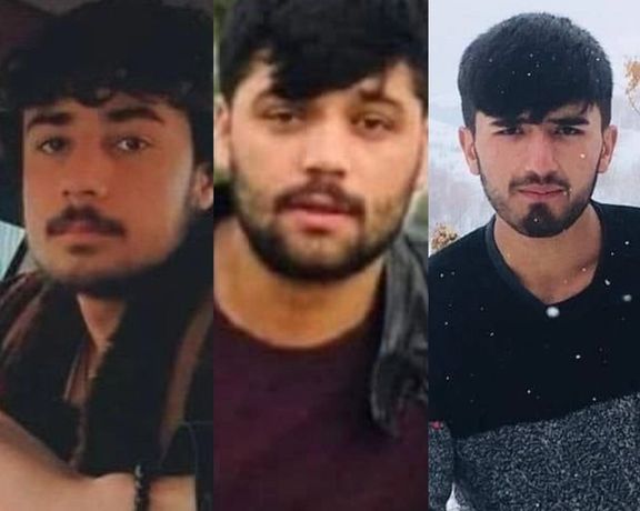 روند سبز: طالبان چهار عضو یک خانواده پنجشیری را در باغ بالای کابل تیرباران کردند