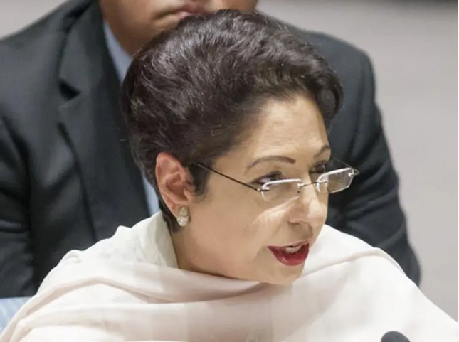 Pakistan's Patience With Taliban Has Exhausted, Says Former Pak Ambassador to US