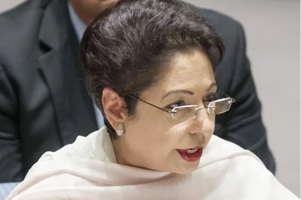 Pakistan's Patience With Taliban Has Exhausted, Says Former Pak Ambassador to US