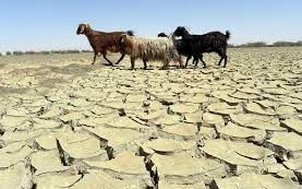 د ملګرو ملتونو خبرداری: سختې ګرمۍ د افغانستان پراخې سیمې له جدي ګواښونو سره مخ کړي