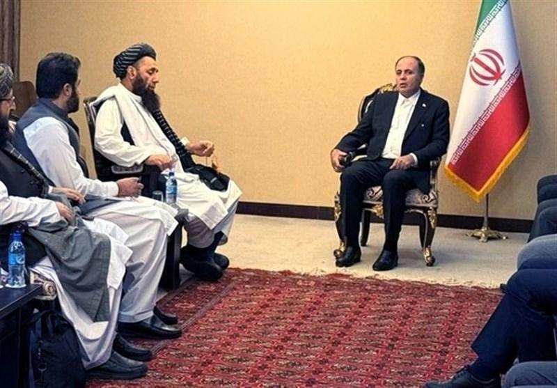 ایران برای صدور خدمات فنی کشاورزی به افغانستان ابراز آمادگی کرد