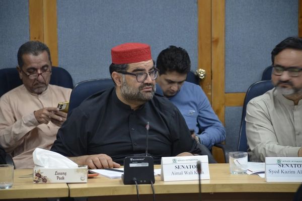 اېمل ولي خان: د پاکستان اقتصادي پالیسي په جګړه جوړه ده او چې جګړه نه وي اقتصاد سقوط کوي