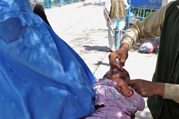 وزارت صحت طالبان از شروع برنامه سراسری واکسیناسیون فلج کودکان خبر داد