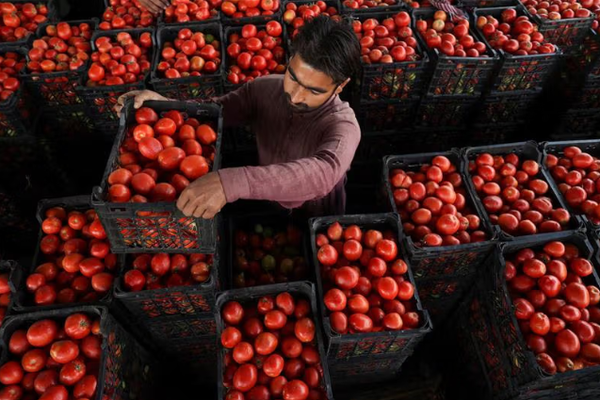 المعابر المغلقة مع أفغانستان تتسبب في موجة ارتفاع أسعار المواد الغذائية في باكستان