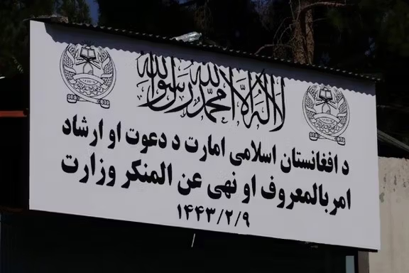 د طالبانو امربالمعروف وزارت وایي روانه اونۍ یې ۱۲ کوډګر نیولي دي