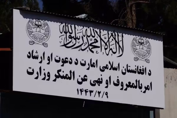 د طالبانو امربالمعروف وزارت وایي روانه اونۍ یې ۱۲ کوډګر نیولي دي