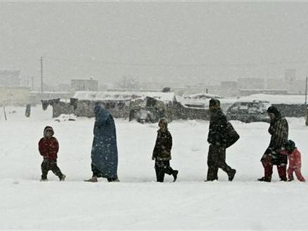 تلفات برف سنگین؛ وزارت مبارزه با حوادث طبیعی طالبان میگوید دستکم ۴۲ نفر جان باختند