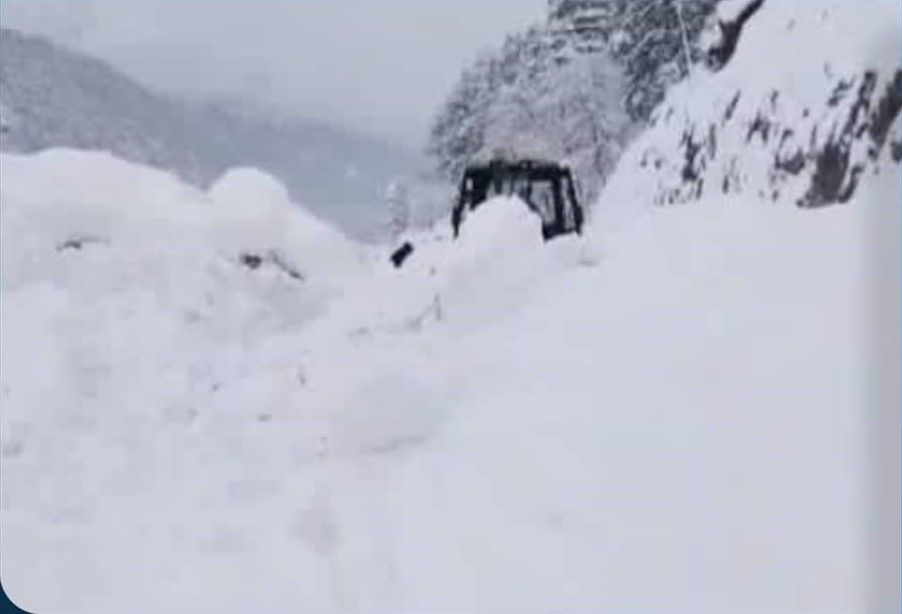 په نورستان کې د واورې ښوېدنې له امله ۲ کسان مړه او ۴ نور ژوبل شوي دي