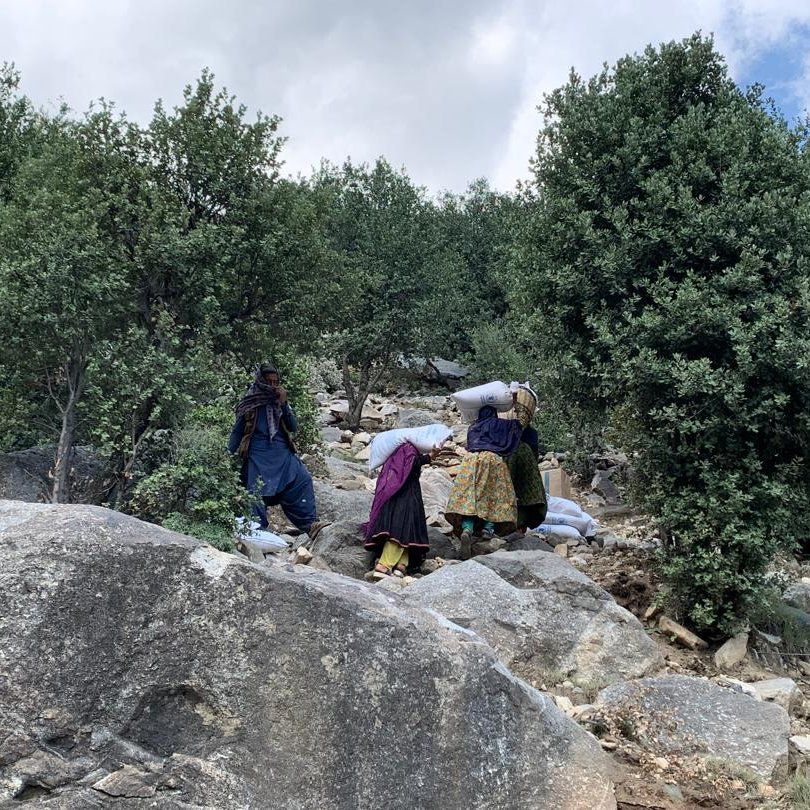 طالبان وايي چې د افغانانو د لوږې په تړاو د ملګرو ملتونو رپوټونه واقعي نه دي