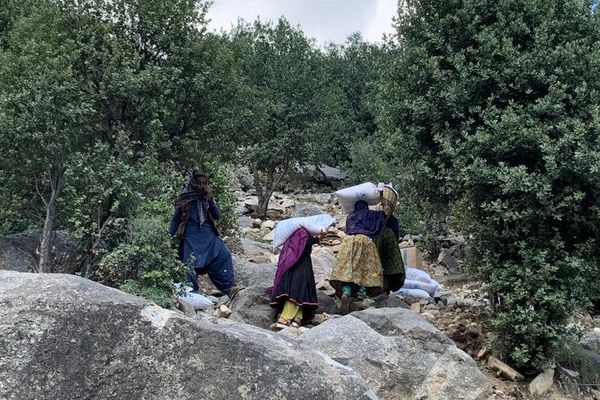 طالبان وايي چې د افغانانو د لوږې په تړاو د ملګرو ملتونو رپوټونه واقعي نه دي