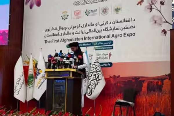 طالبان وایي د کرنې نړۍوال نندارتون کې یې له ۷۰ ډېر تړونونه لاسلیک کړي