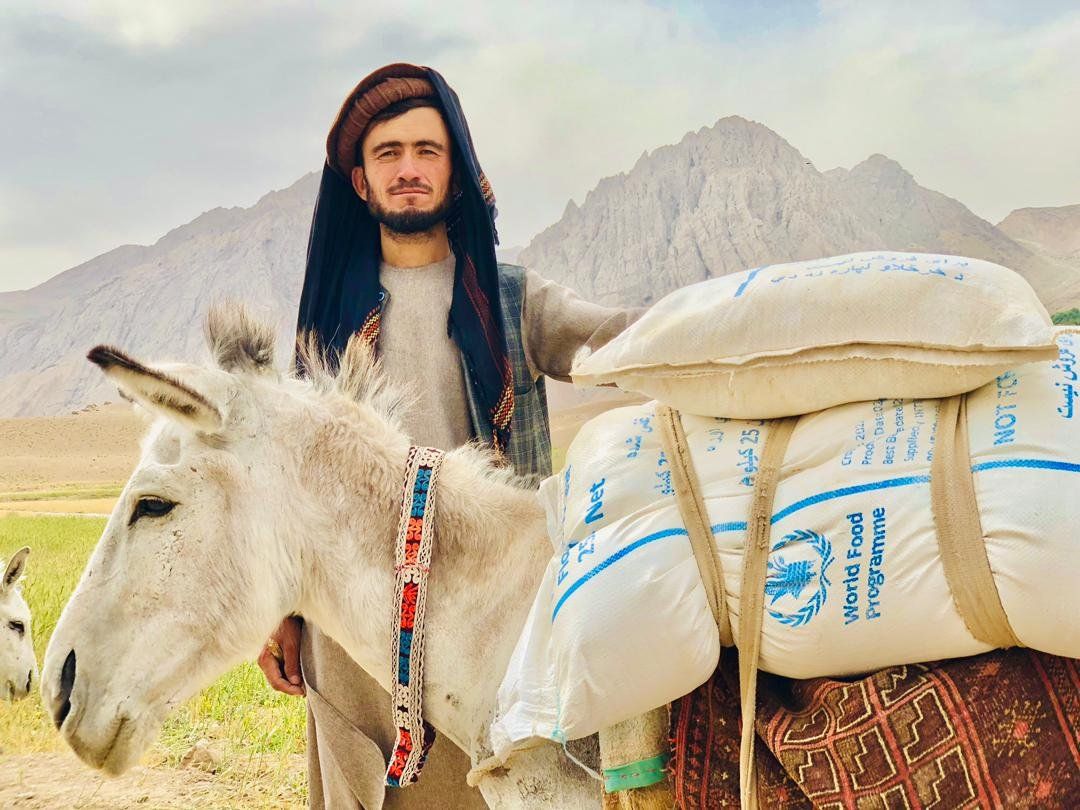 برنامه جهانی غذا: افغانستان با کمبود ۳۵ درصدی تولید گندم روبه‌رو است