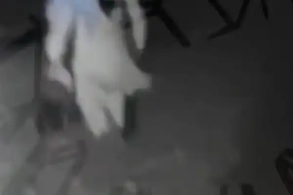 د متحدې جبهې ادعا: په غزني کې مو د شنبې په ماښام د طالبانو د استخباراتو یو غړی وژلی دی