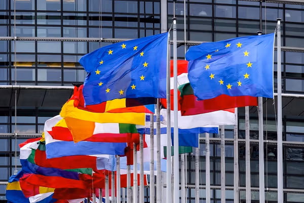 اروپايي پارلمان د طالبانو د سیاسي او پوځي مخالفانو د استازو کوربه توب کوي