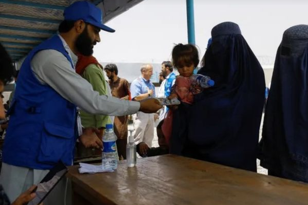 Taliban Appoints Committee To Oversee Hiring, Operations of NGOs in Herat