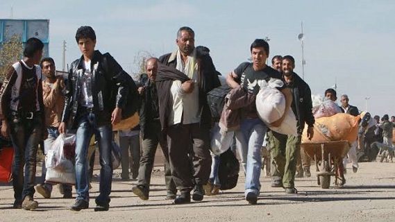 د طالبانو کډوالو وزارت: نږدې زر کډوال په زور او خپله خوښه له ایران او پاکستانه راستانه شوي