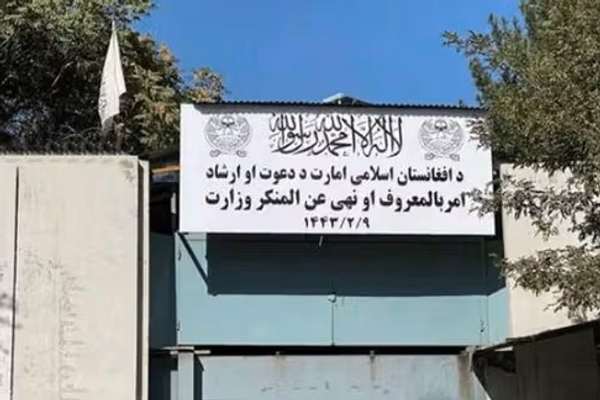 طالبانو په سمنګان او غور ولایتونو کې دوه کوډګر نیولي دي