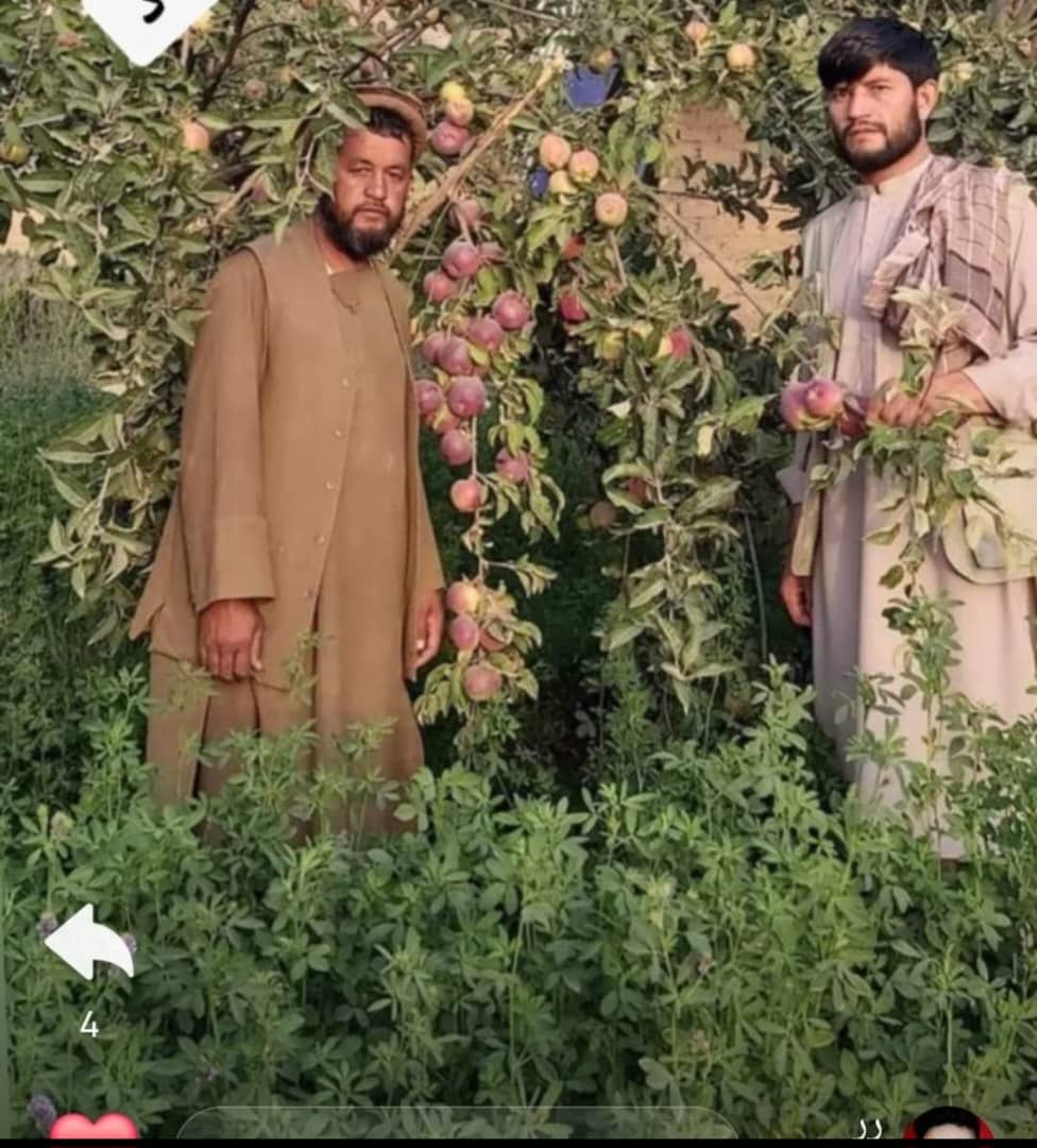 منابع گفتند طالبان یک فرمانده پیشین خیزش مردمی را در تخار کشته است