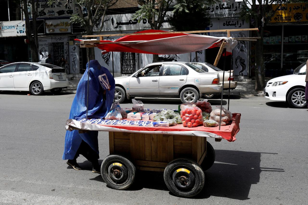 سازمان ملل از اختصاص ۱.۷ میلیون دالر برای زنان کارآفرین افغان خبر داد