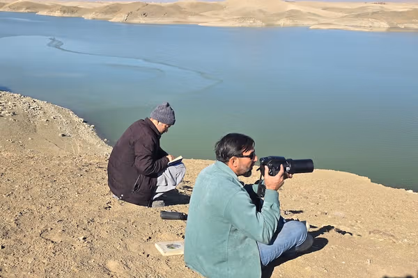 نوې سروې: په افغانستان کې لندبلونه وچ شوي او د کوچېدونکو مرغانو شمېر په بېساري ډول کم شوی