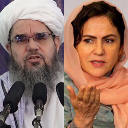 شهاب الدین دلاور له فوزیه کوفي، دوستم او سیاف وغوښتل چې افغانستان ته ستانه شي