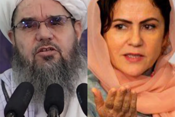 شهاب الدین دلاور له فوزیه کوفي، دوستم او سیاف وغوښتل چې افغانستان ته ستانه شي