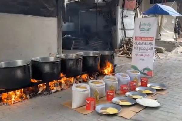تنها از هرات بیش از ۱۲ میلیون افغانی کمک نقدی برای غزه جمع شده است