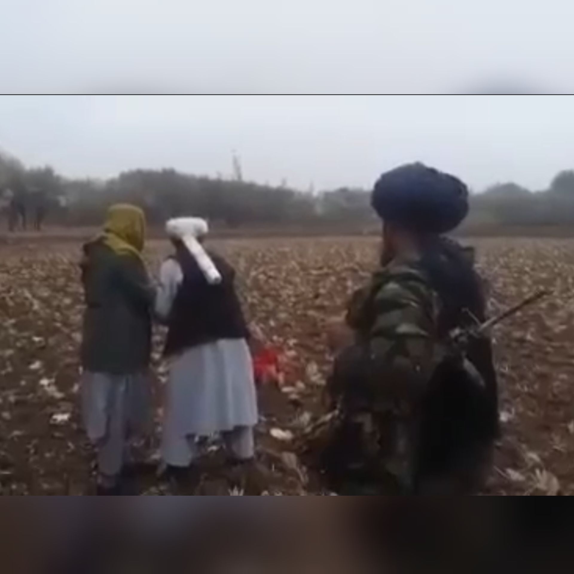 اعدام صحرایی یک جوان تخاری به‌دست طالبان