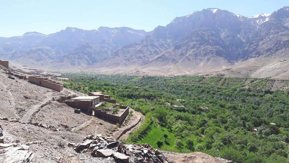 طالبان می‌گوید استخراج هفت معدن در دایکندی به داوطلبی گذاشته می‌شود