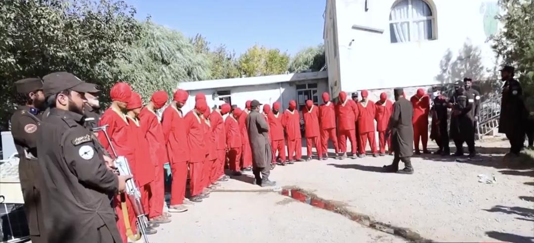 طالبانو په هرات ولایت کې د ۲۰ تنو وسله‌والو غلو د نیولو خبر ور کړی