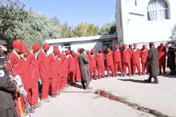 طالبانو په هرات ولایت کې د ۲۰ تنو وسلهوالو غلو د نیولو خبر ور کړی