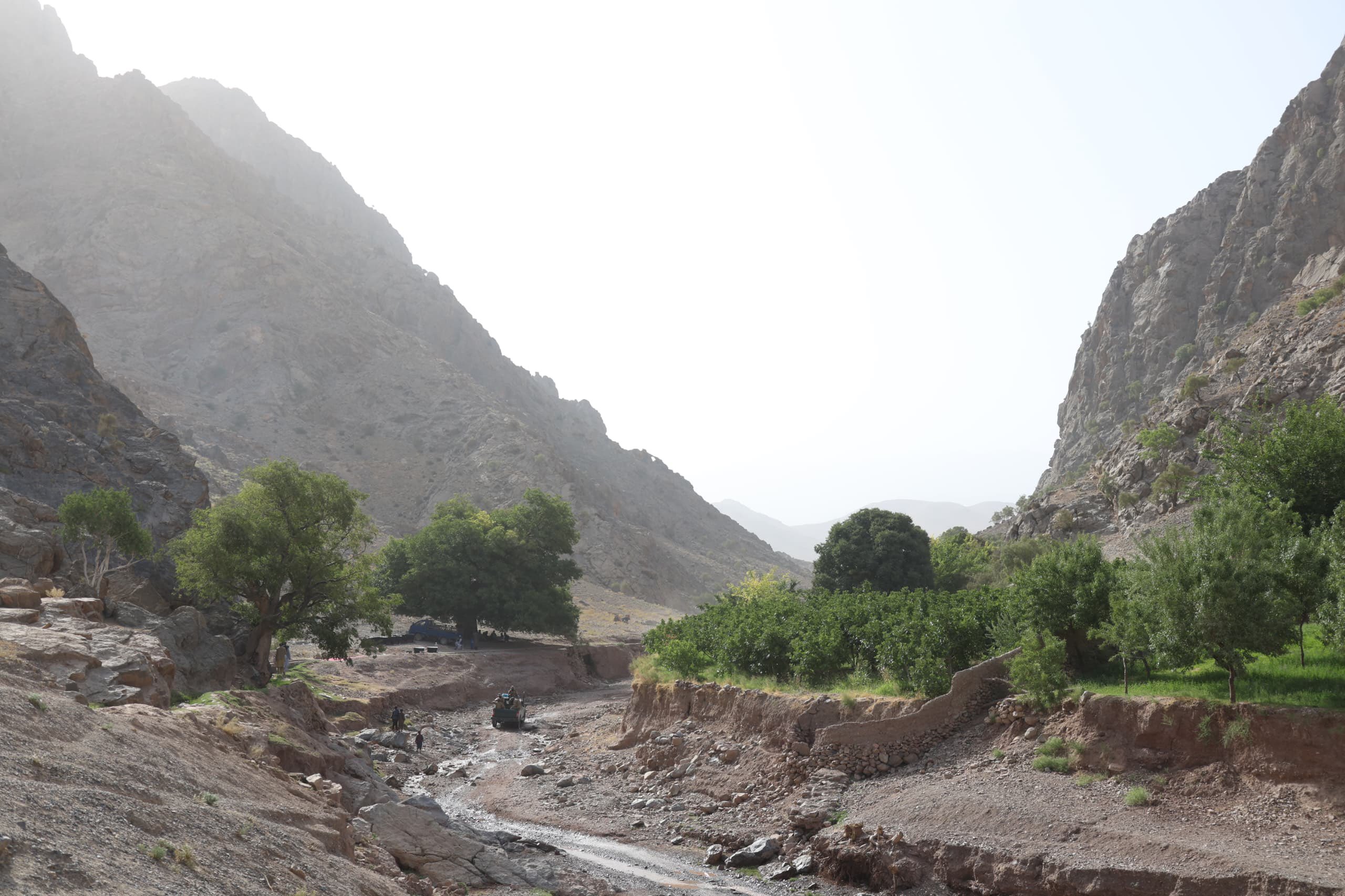 طالبانو په ارزګان کې د شفلوغ په نامه د اوبو بند د جوړولو چارې پیل کړې