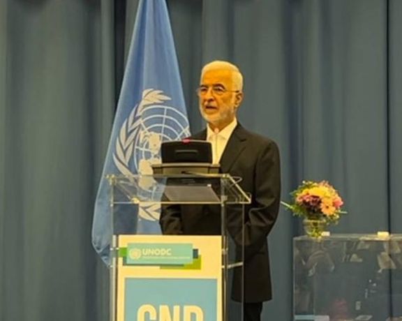 مقام ایرانی:در پنج سال ۴ هزار و ۴۵۰ تُن مواد مخدر با منشاء افغانستان را کشف و ضبط کردیم