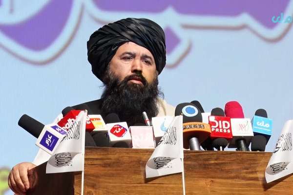 ندیم: پخوا په پوهنتونونو کې د ډاروین نظریه تدریس کېده او اخلاقي فساد ته لمن وهل کېده