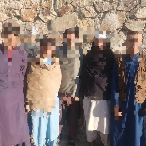 طالبانو په بادغیس کې د «ونو پرې کولو» په تور پنځه کسان نیولي دي