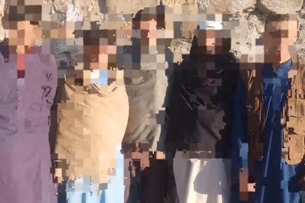 طالبانو په بادغیس کې د «ونو پرې کولو» په تور پنځه کسان نیولي دي